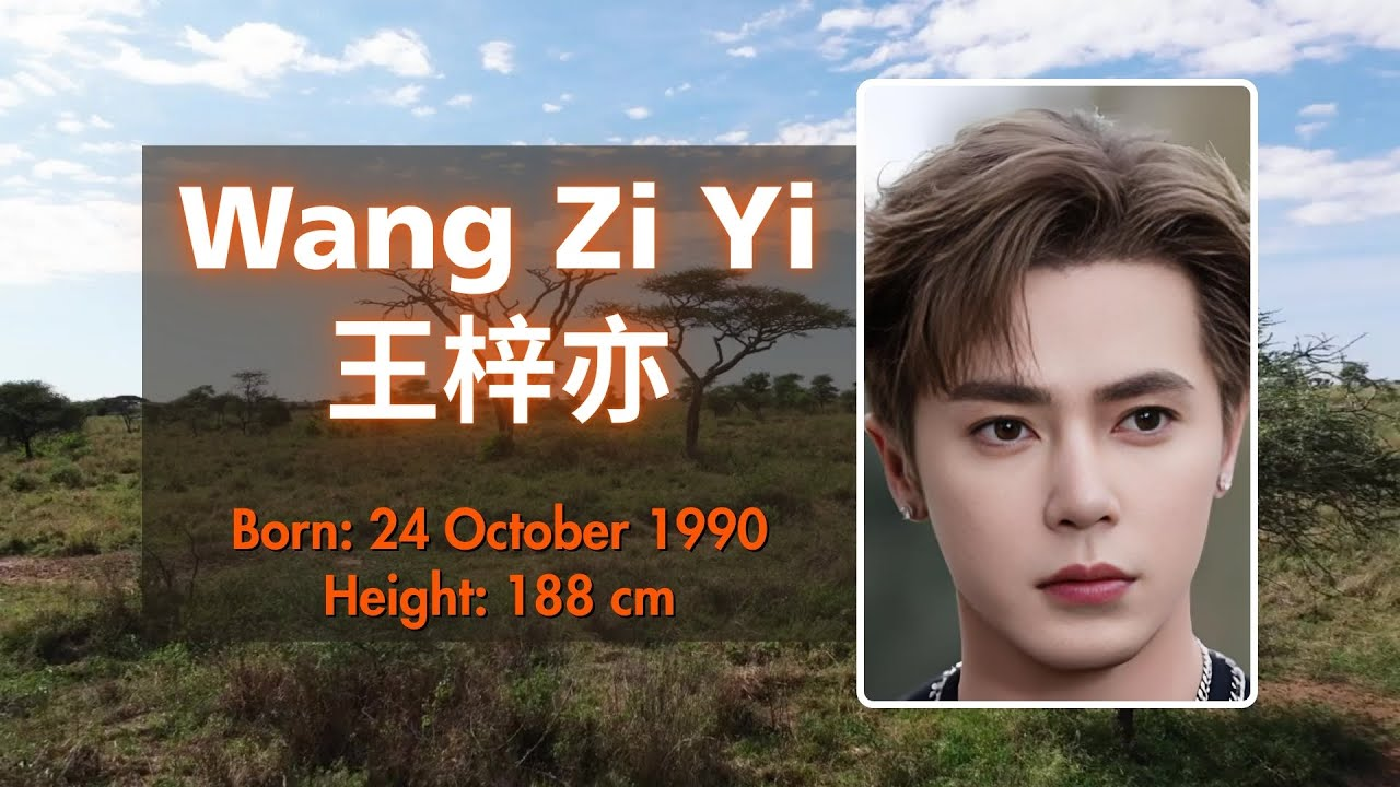 Vương Tử Diệc: Hàn trình từ sàn catwalk đến ngôi sao phim truyền hình