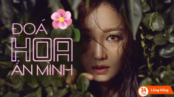 Đóa Hoa Ẩn Mình