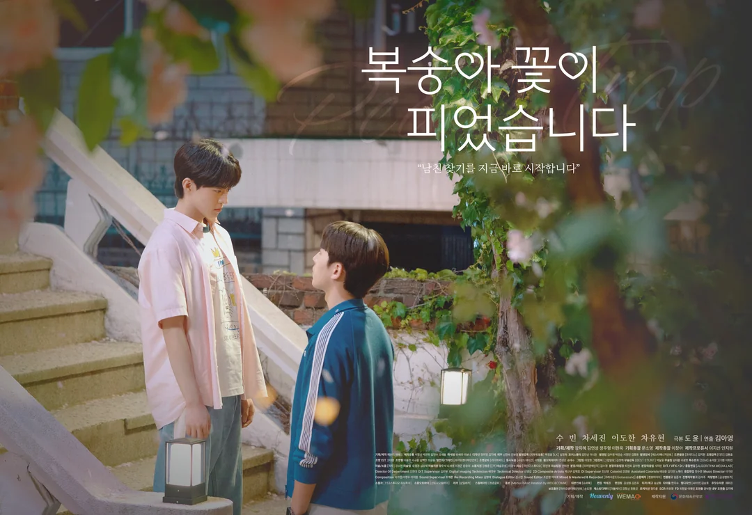 Phim Hoa Đào Nở (Peach Trap), BL Hàn Quốc 2025: Lưới tình Tứ giác và màn lột xác của SuBin VICTON