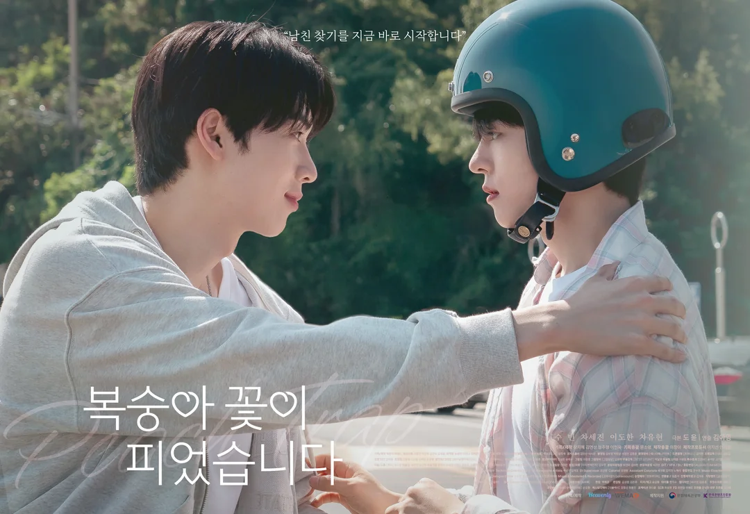 Phim Hoa Đào Nở (Peach Trap) tập 5: Cuộc hẹn quyết định và lời thú nhận từ một trong ba người